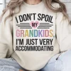 I-Dont-Spoil-My-Grandkid-1.webp I Don't Spoil My Grandkids I'm Just Very Accommodating, Grandma, Grandmother