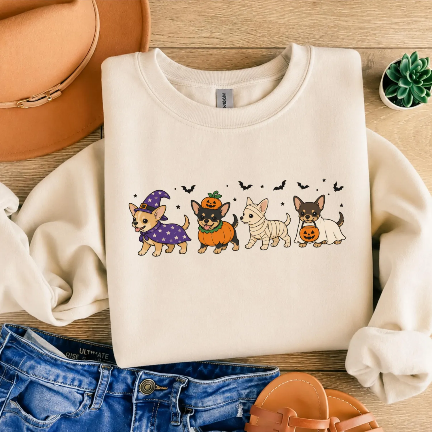Cute Chihuahua Witch Pumpkin Halloween Sweatshirt